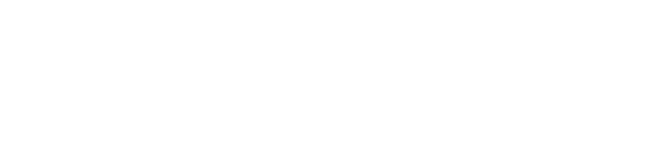 Evifall Logo White
